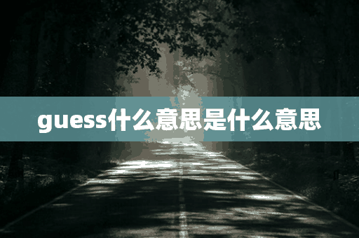 guess什么意思是什么意思